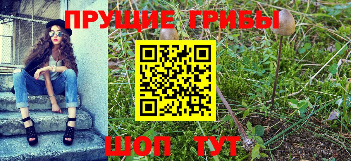 Зеленокумск  Псилоцибиновые грибы Psilocybe  закладки  Вход с VPN 
