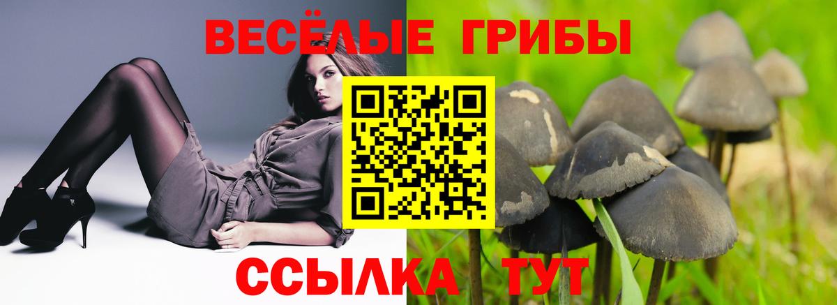 Псилоцибиновые грибы мухоморы Зеленокумск